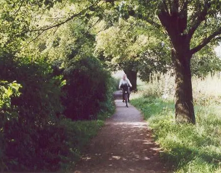 מלון Am Markt 3*